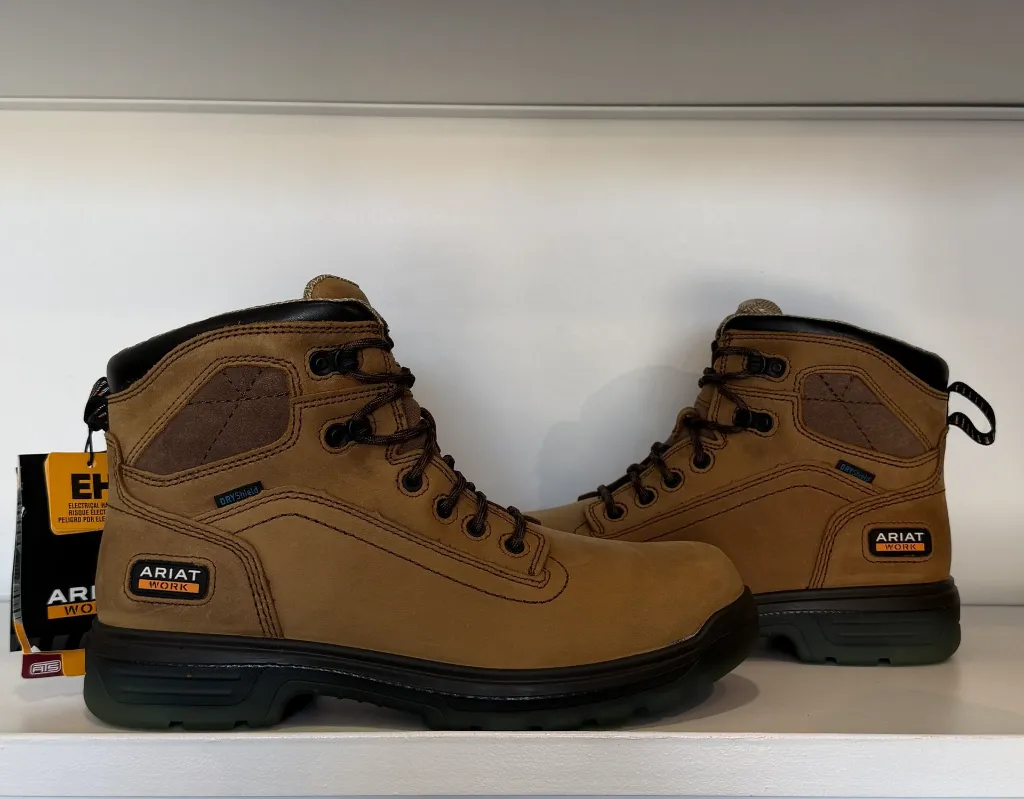 Photo Jan 22 2026, 1 23 50 PM.webp