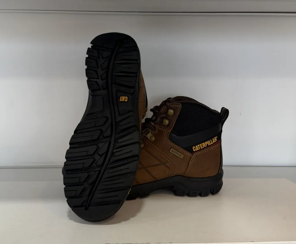 Photo Jan 23 2026, 4 20 34 PM.webp