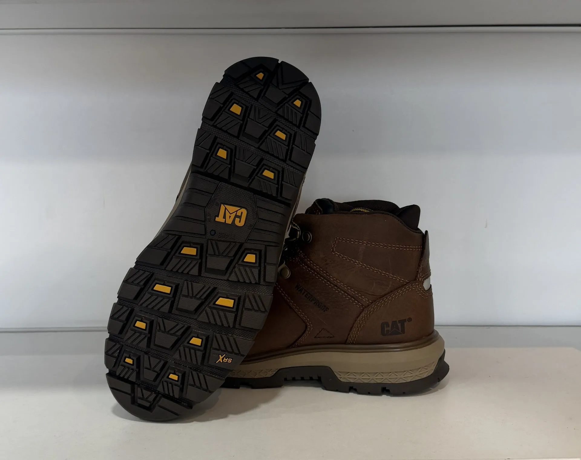 Photo Jan 23 2026, 4 21 30 PM.webp