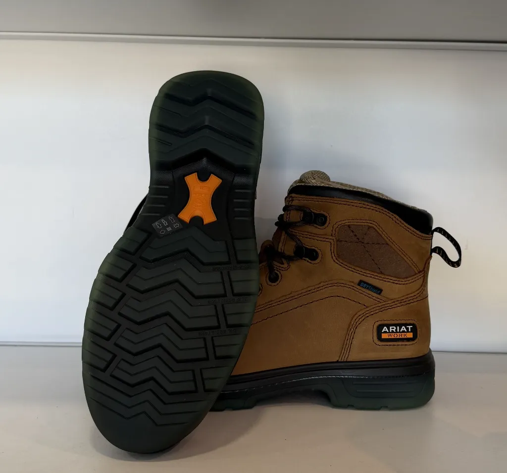 Photo Jan 22 2026, 1 24 14 PM.webp