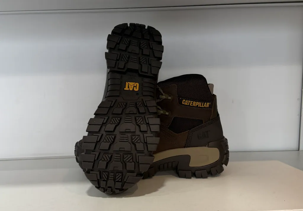 Photo Jan 23 2026, 4 25 31 PM.webp