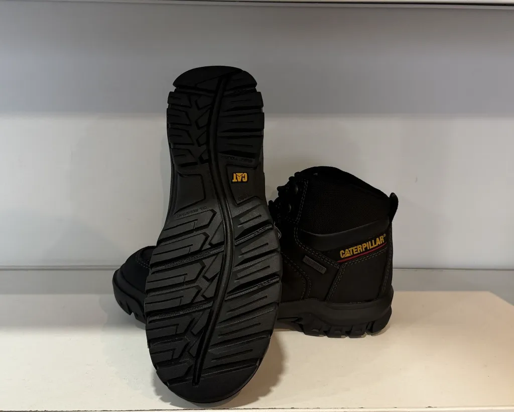 Photo Jan 23 2026, 4 46 39 PM.webp