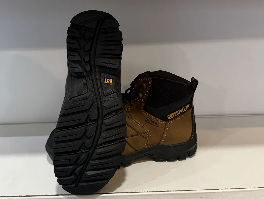 Photo Jan 23 2026, 4 56 12 PM.webp