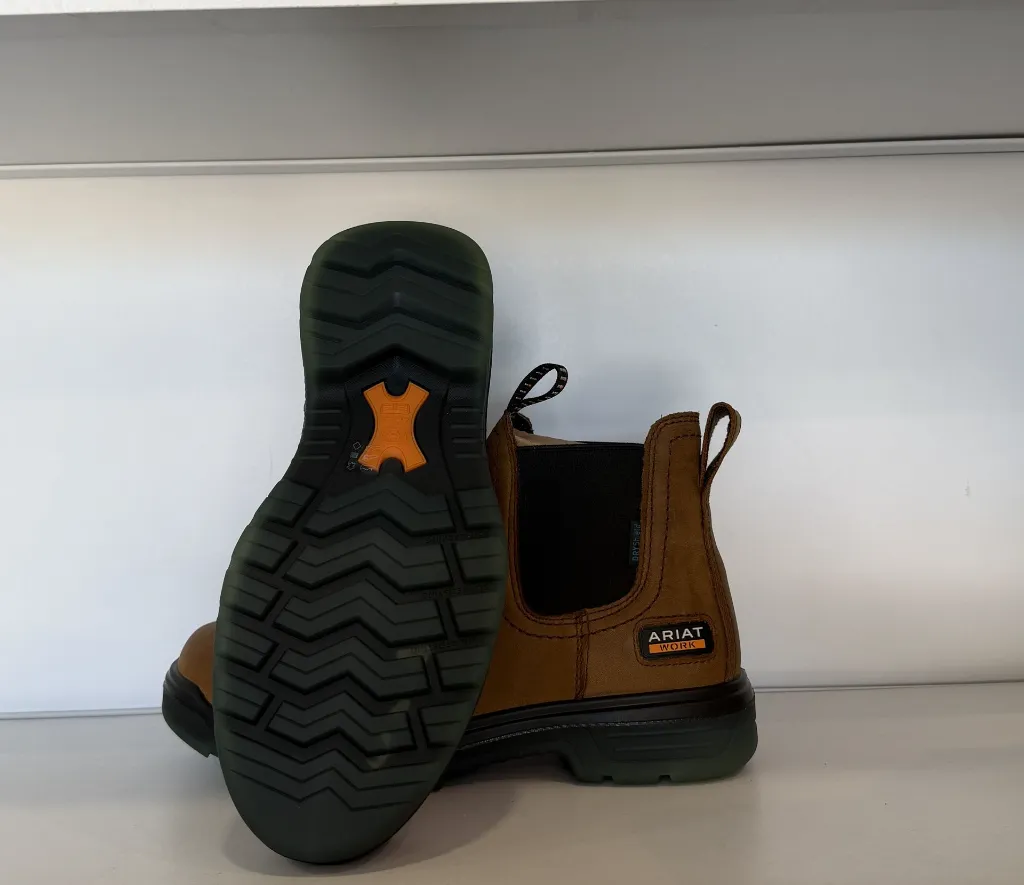 Photo Jan 22 2026, 1 26 54 PM.webp