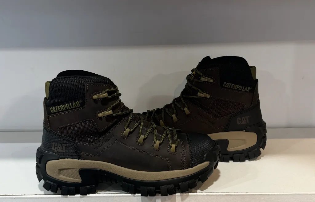 Photo Jan 23 2026, 5 09 42 PM.webp