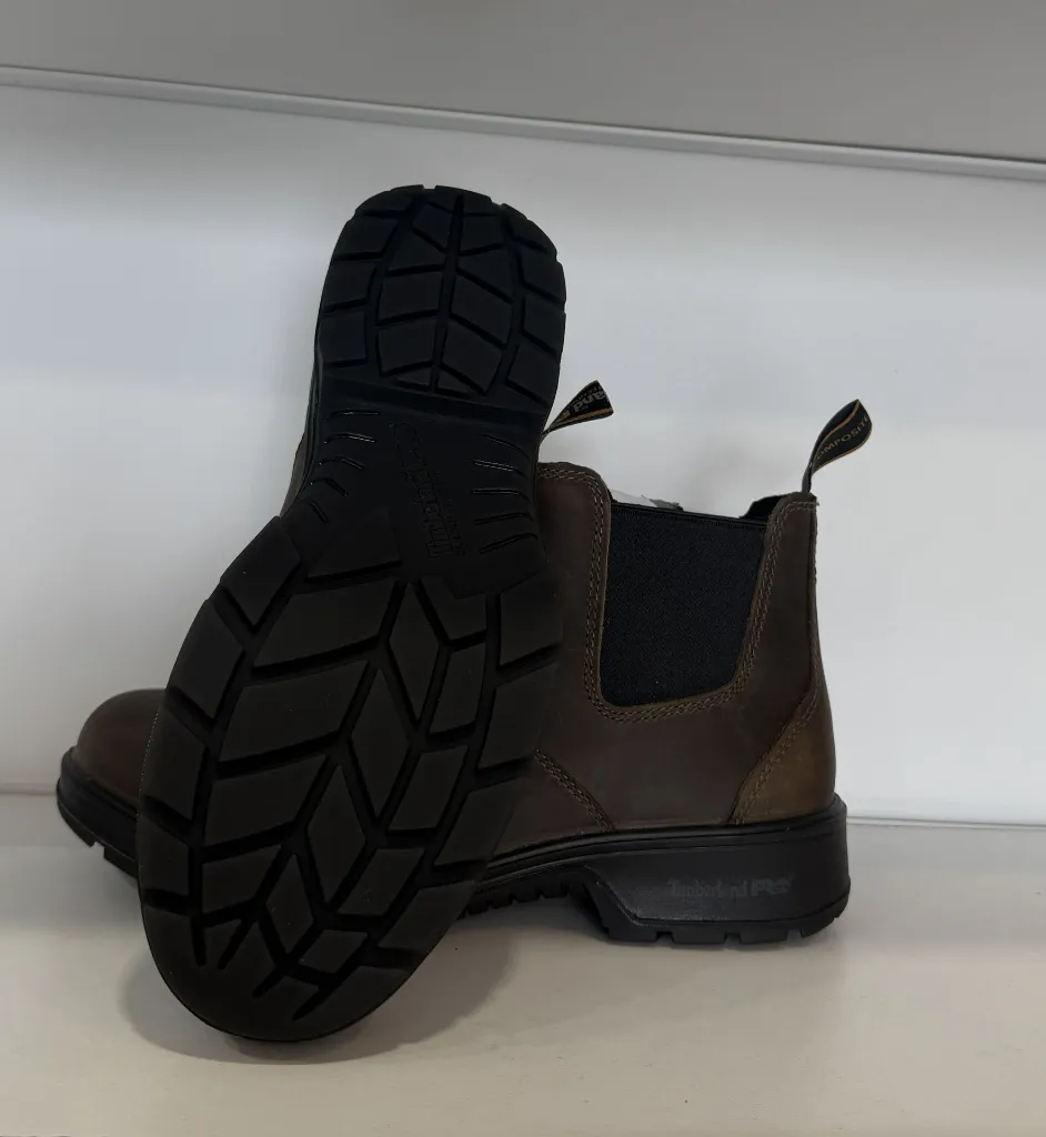 Photo Jan 23 2026, 12 29 00 PM.webp