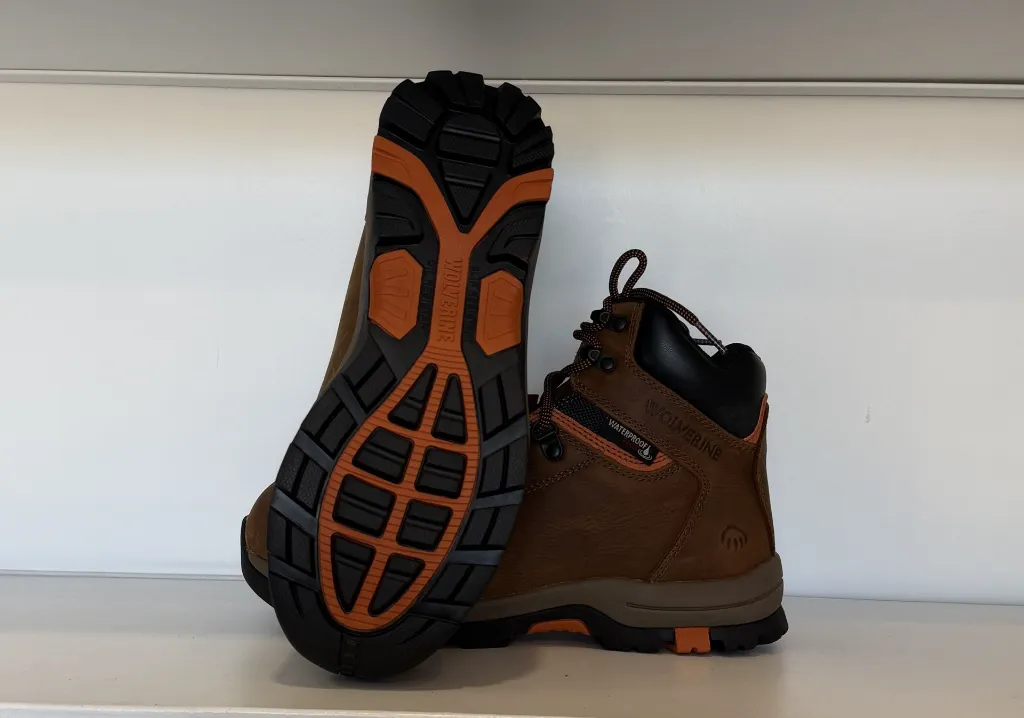 Photo Jan 22 2026, 1 49 58 PM.webp