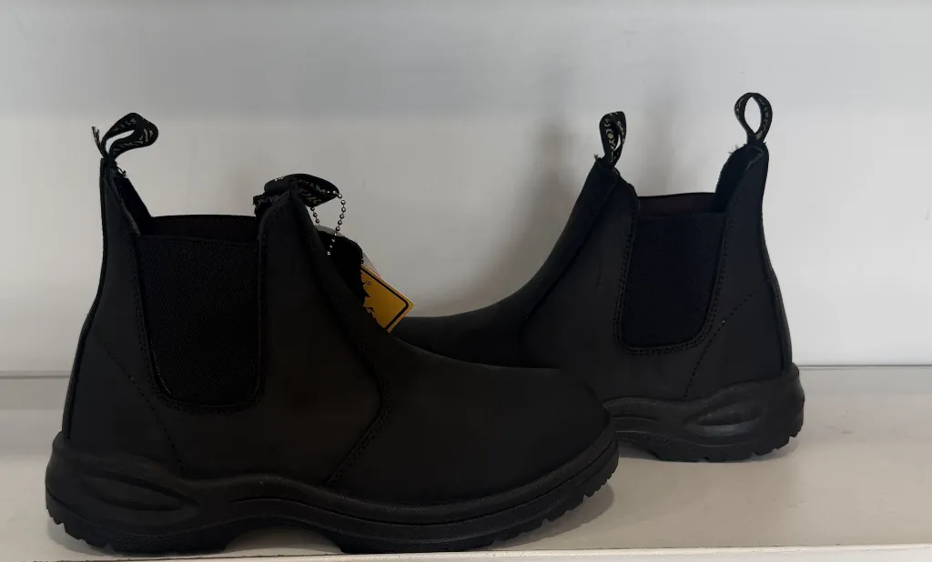 Photo Jan 30 2026, 3 31 07 PM.webp