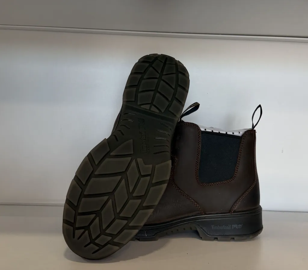 Photo Jan 22 2026, 2 31 44 PM.webp