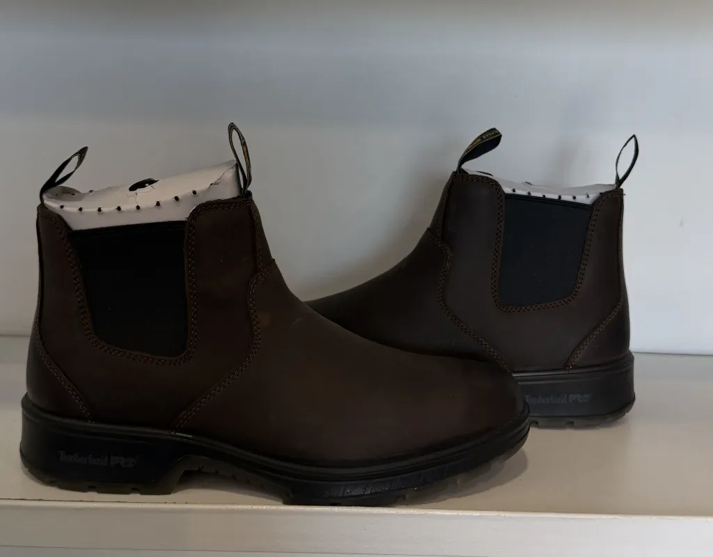 Photo Jan 22 2026, 2 31 27 PM.webp