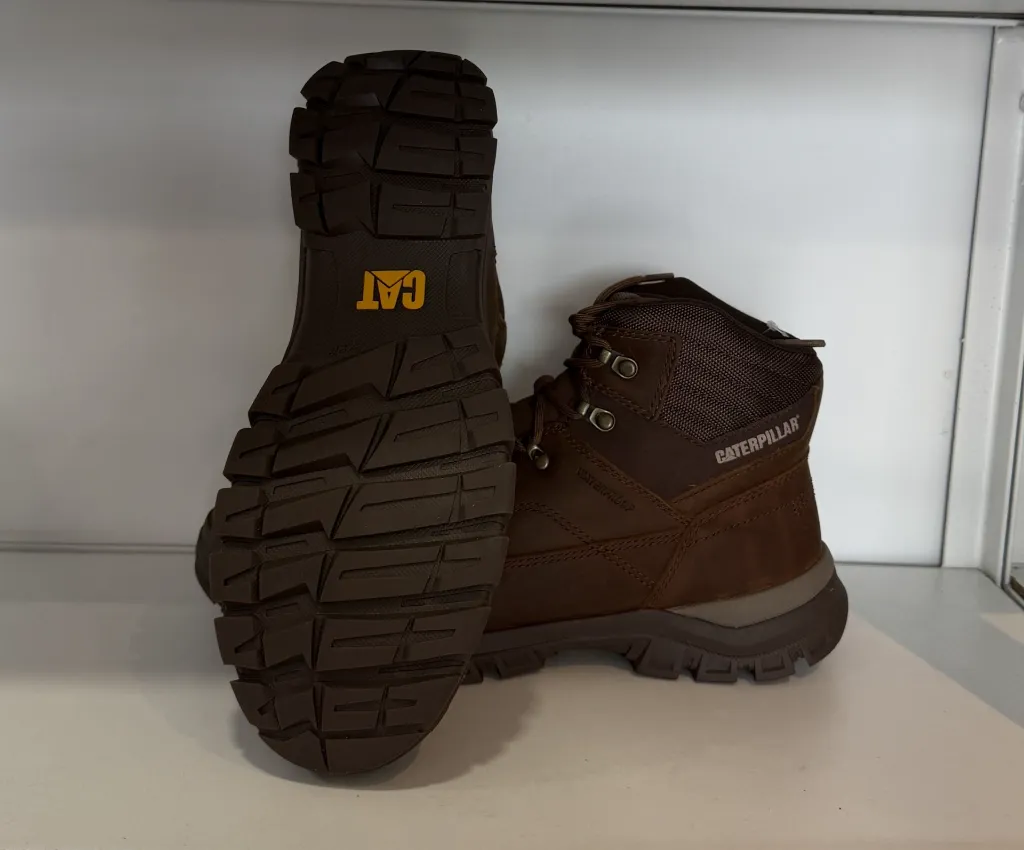 Photo Jan 23 2026, 3 05 45 PM.webp