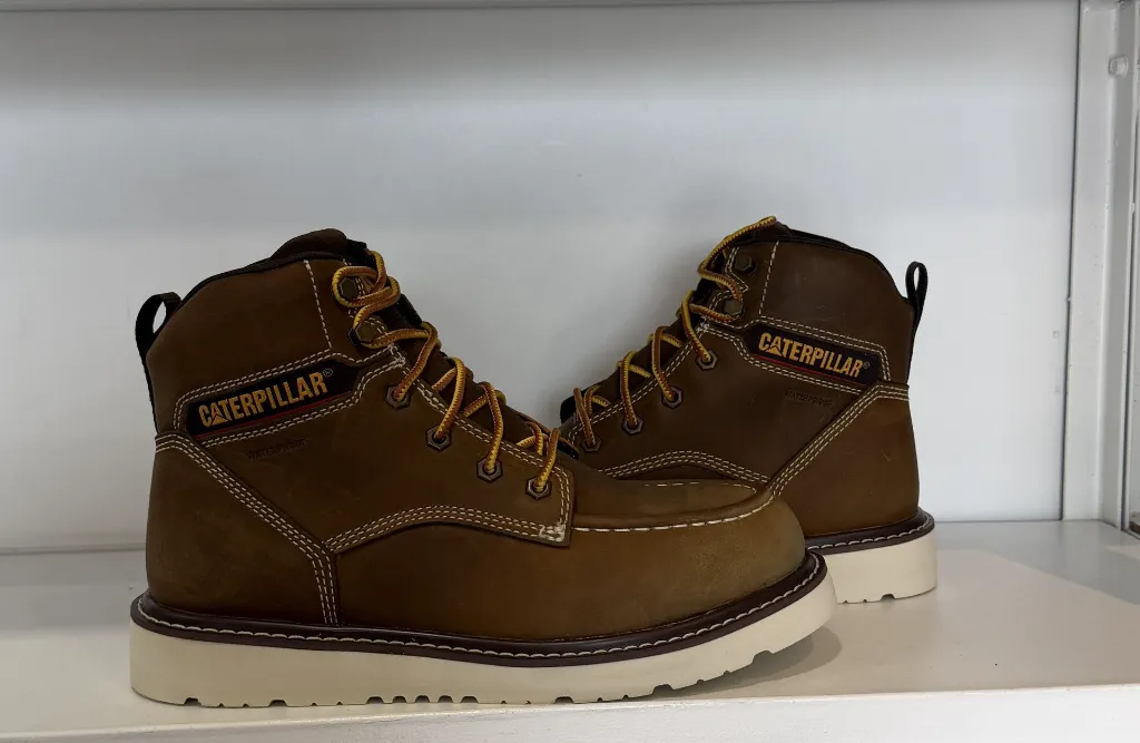 Photo Jan 23 2026, 3 22 18 PM.webp