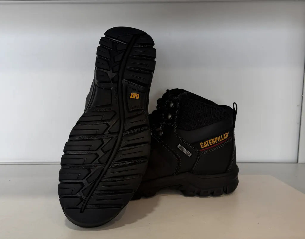 Photo Jan 23 2026, 3 25 57 PM.webp