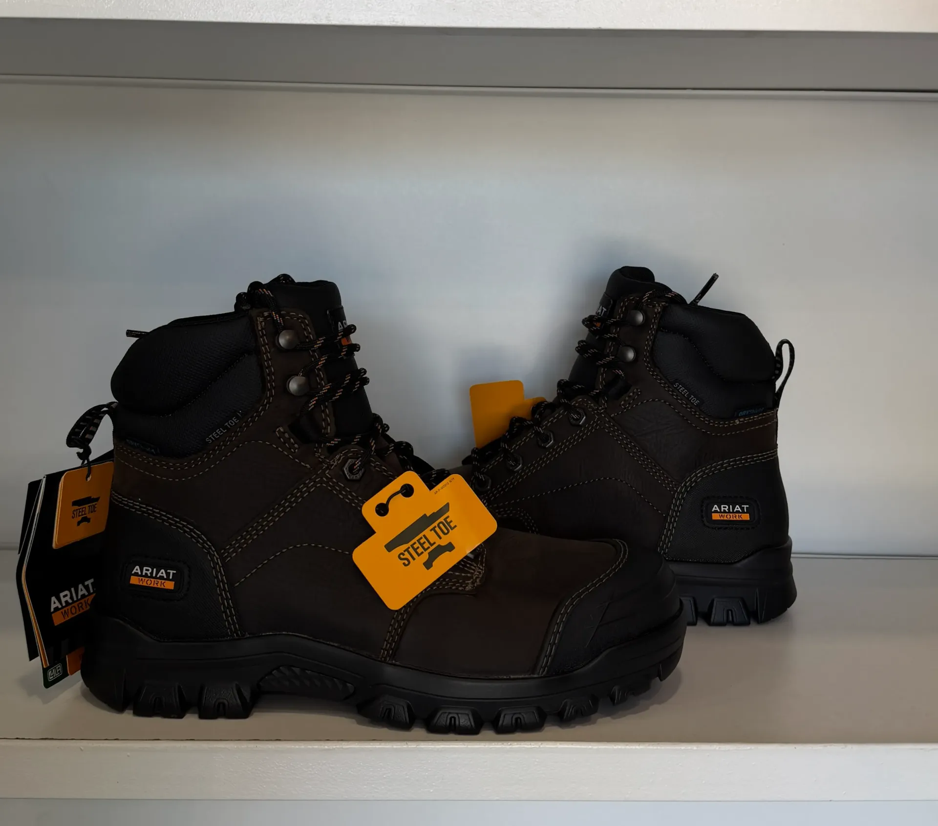 Ariat BROWN (10034673)
