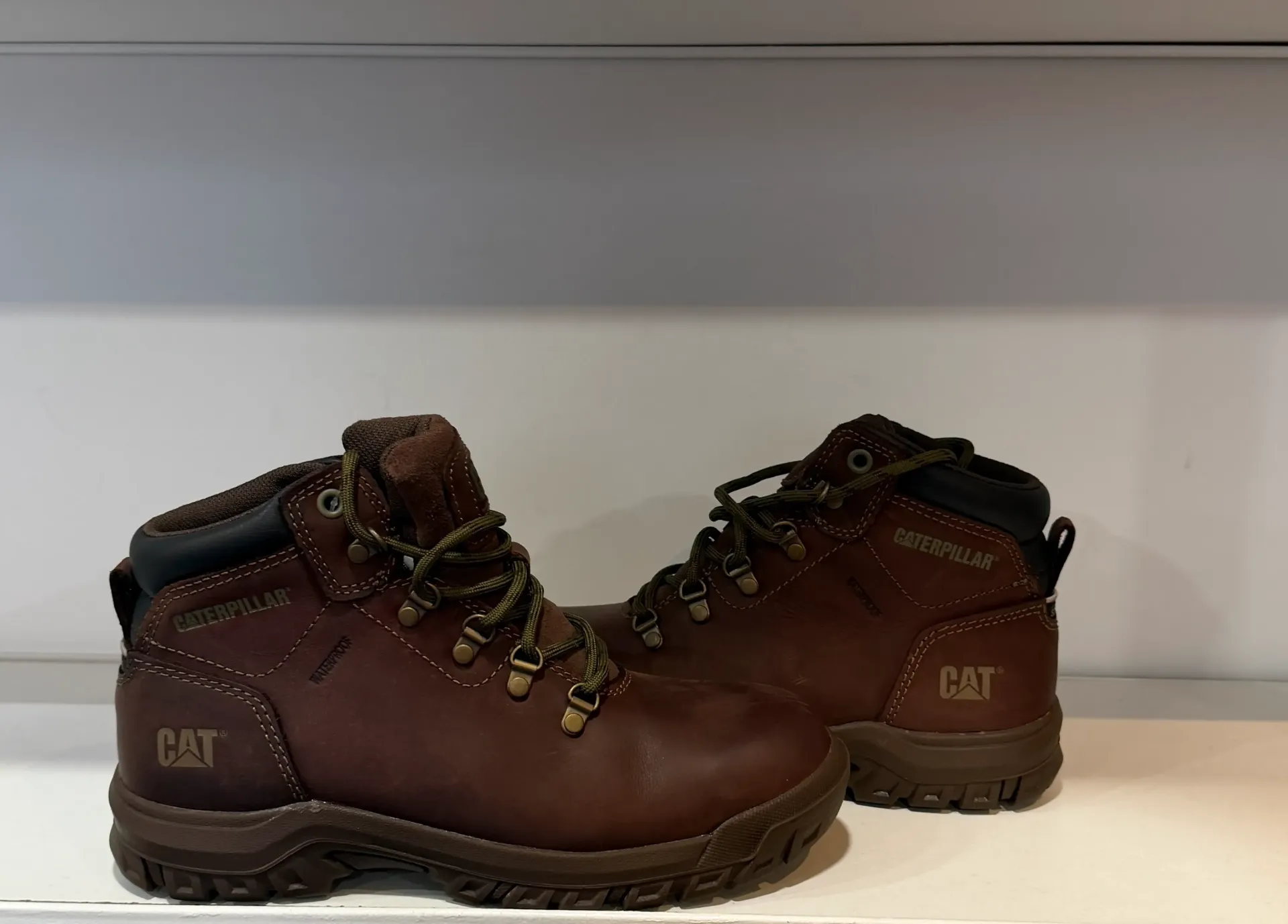 [P91011] Caterpillar COCOA (6 M)