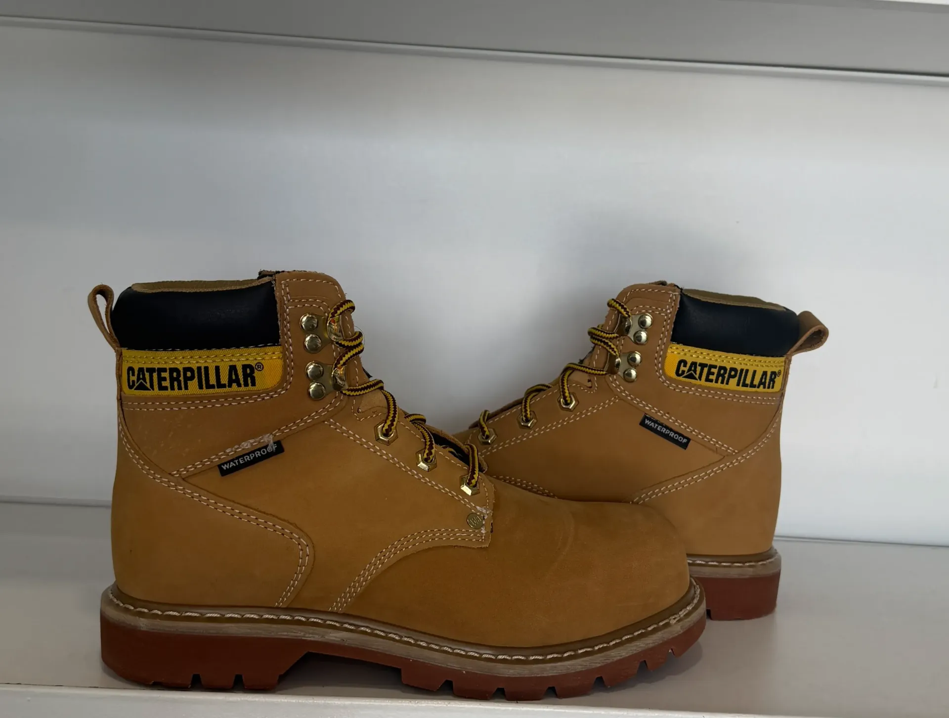 Caterpillar HONEY