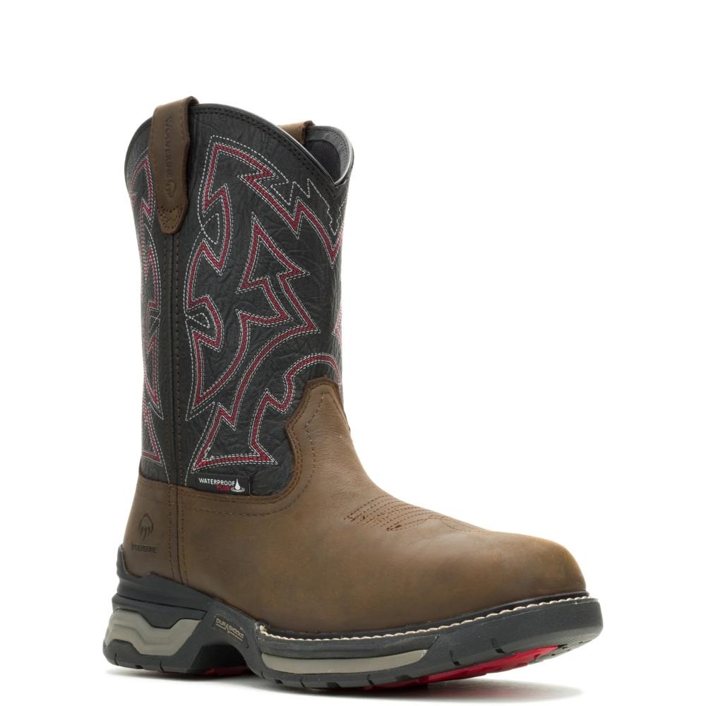 Wolverine Rancher Infinity - Black